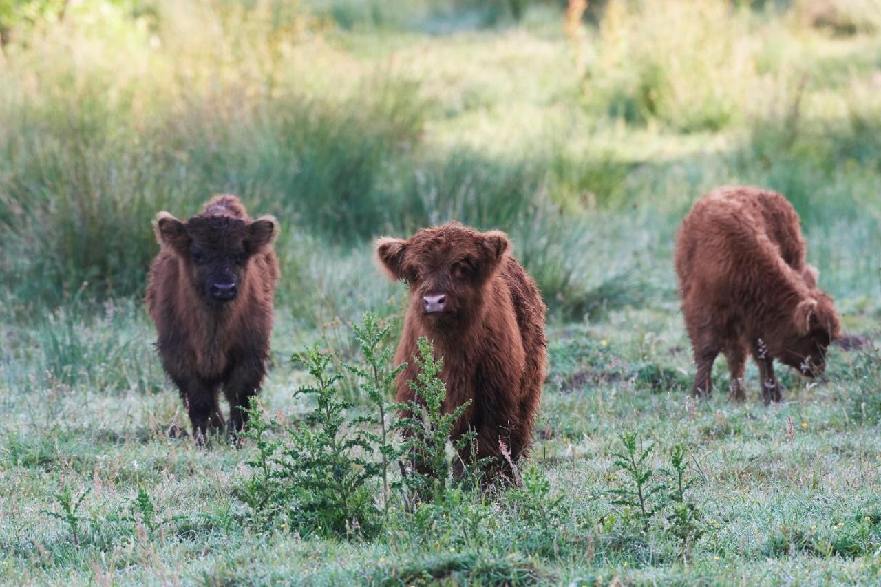 Natuurlogies Buurse Buiten Haaksbergen Eksteriør bilde